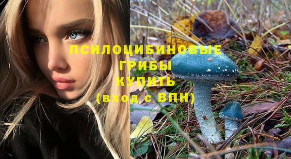 мет Белокуриха