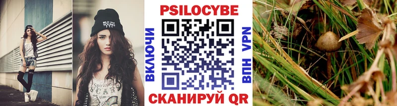 Псилоцибиновые грибы Cubensis  даркнет Telegram  Омск 